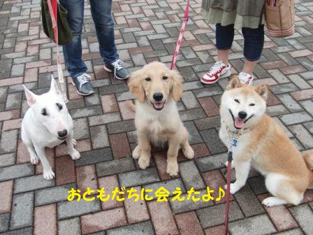 会えたの