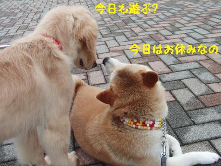 お休み