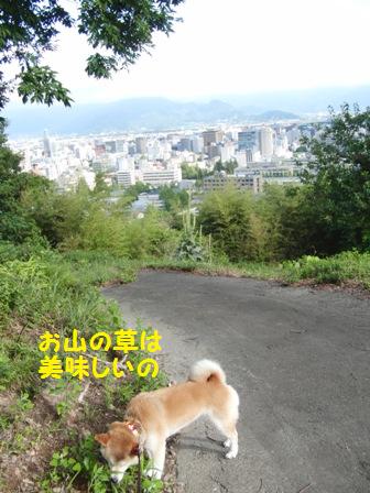 お山