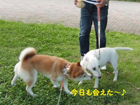 会えた