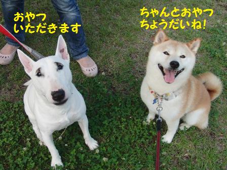 ちょうだい