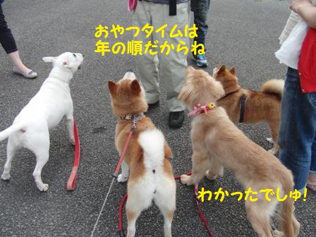 年の順