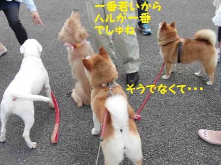 そうでなくて