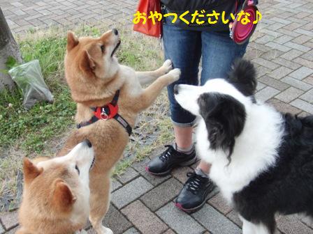 おやつ