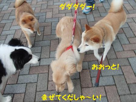 混ぜて