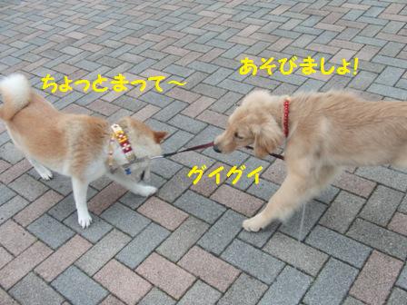 遊ぼう