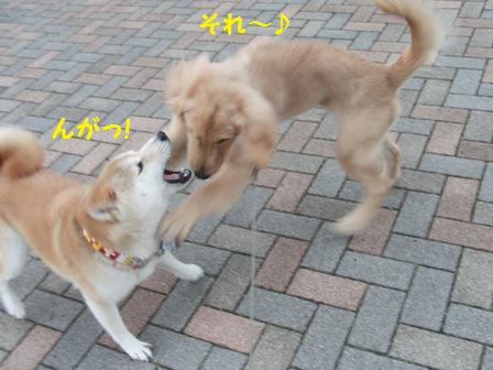 それ~