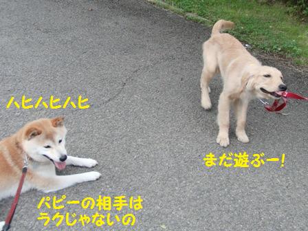 ラクじゃない