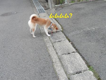 ムムムム?