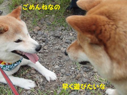 ごめんね