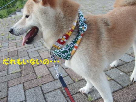 だれもいない