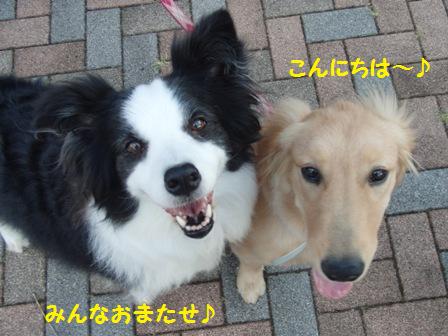 エリちゃんハルちゃん