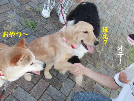 お手