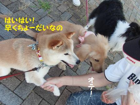 お手2