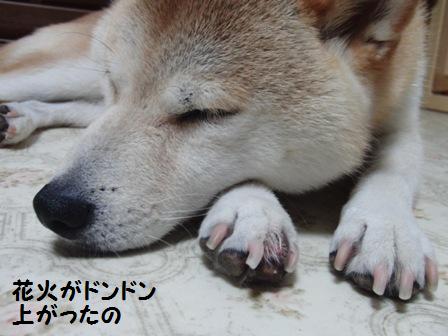 花火