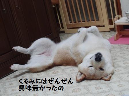 興味なし