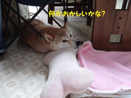 まくら