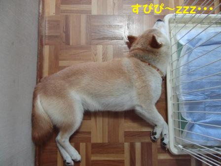 はまってる