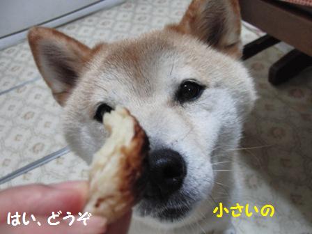 小さいの