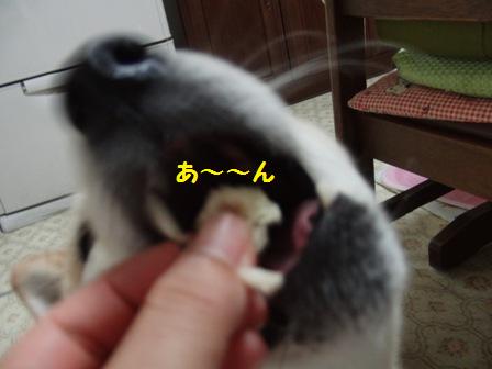 あ~~ん