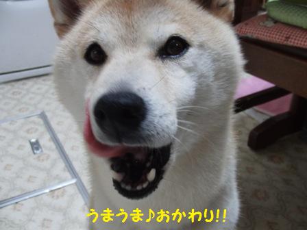 おかわり
