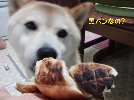 黒パン
