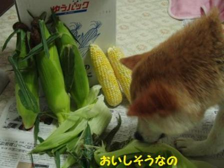 美味しそう