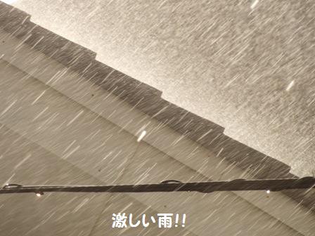 激しい雨