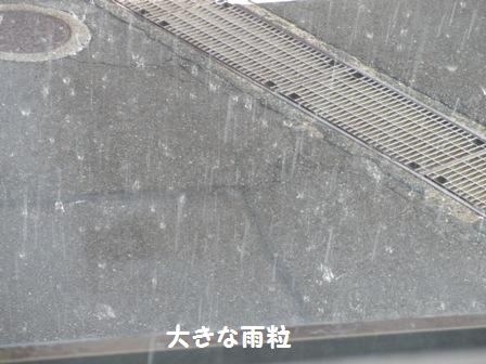 雨粒