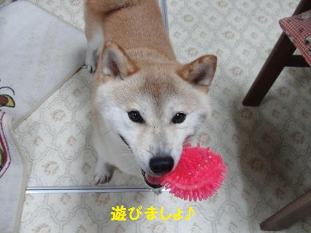 遊びましょ