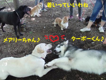 若い