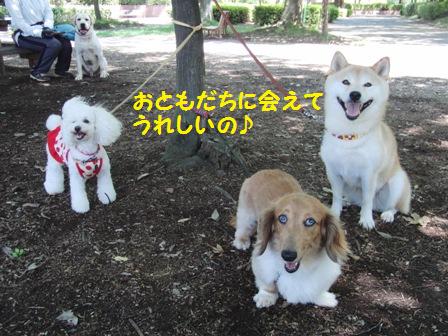 わんわんくらぶ
