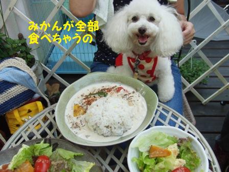 食べちゃう
