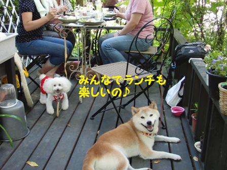 ランチ