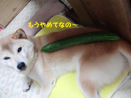 やめてよ