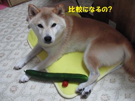 比較