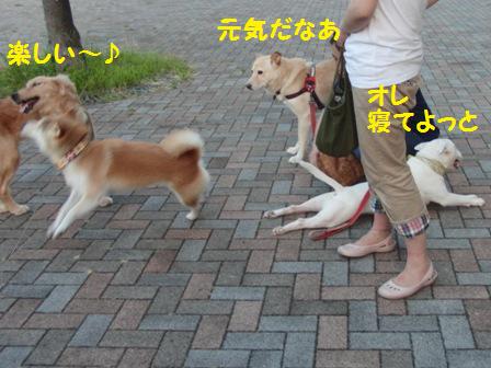 男子と女子