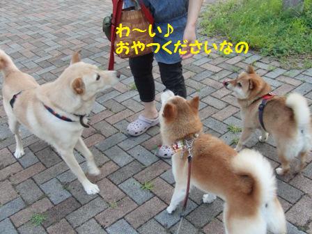 おやつください