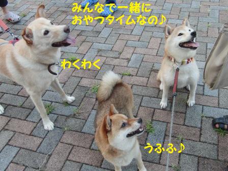 おやつタイム