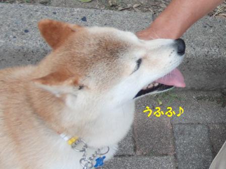 うふふ