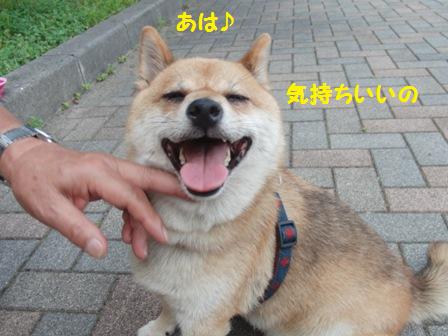あは♪