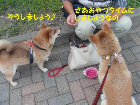 おやつタイム