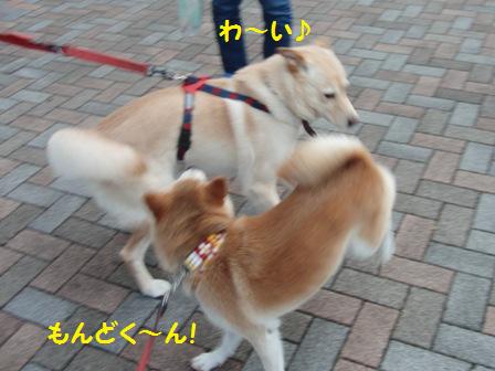 もんどくん