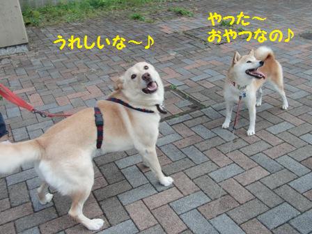 うれしいな~