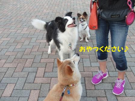 エリちゃんレオンくん