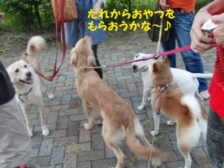 いっぱい