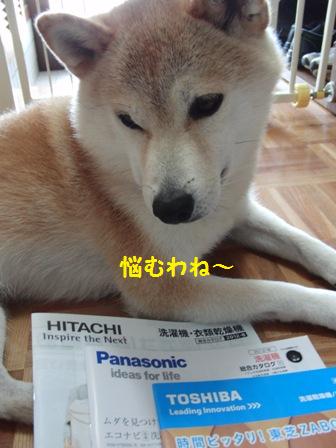 洗濯機