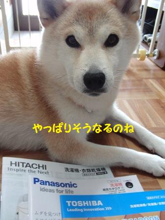 やっぱり