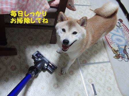 しっかりお掃除