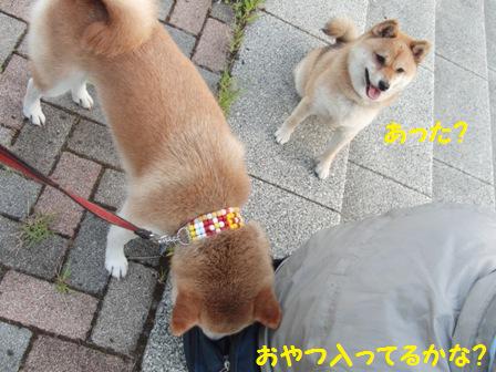 あった?